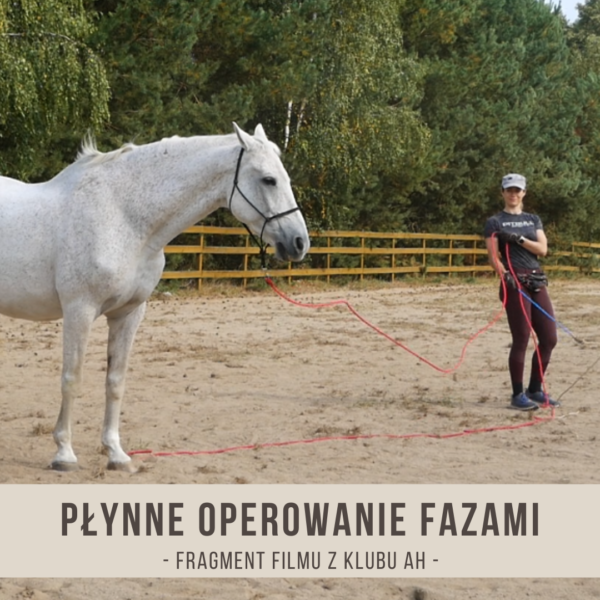 plynne_operowanie_fazami